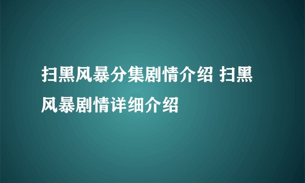 扫黑风暴分集剧情介绍 扫黑风暴剧情详细介绍
