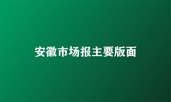 安徽市场报主要版面