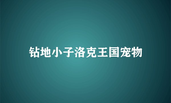 钻地小子洛克王国宠物