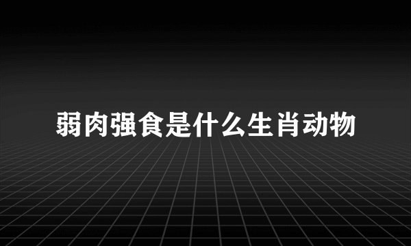 弱肉强食是什么生肖动物