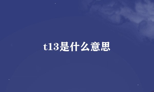 t13是什么意思