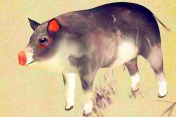 中途出家什么意思