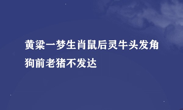 黄粱一梦生肖鼠后灵牛头发角狗前老猪不发达