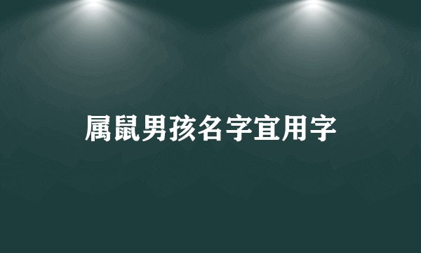 属鼠男孩名字宜用字