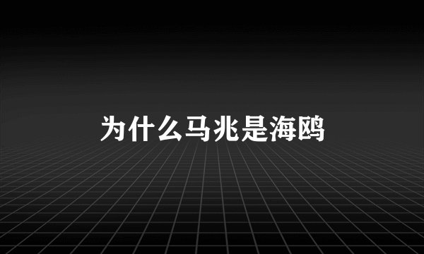 为什么马兆是海鸥