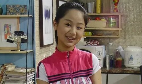《家有儿女》杨紫没内分别是几集?