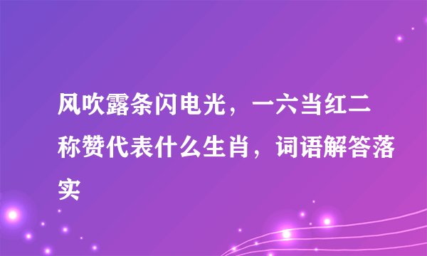 风吹露条闪电光，一六当红二称赞代表什么生肖，词语解答落实