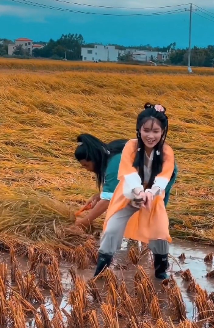 一段“农村夫妻装扮成郭靖黄蓉收稻谷”的视频走红,这一幕有多浪漫?