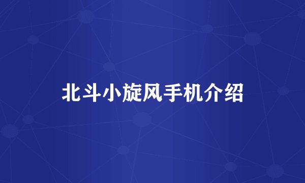 北斗小旋风手机介绍