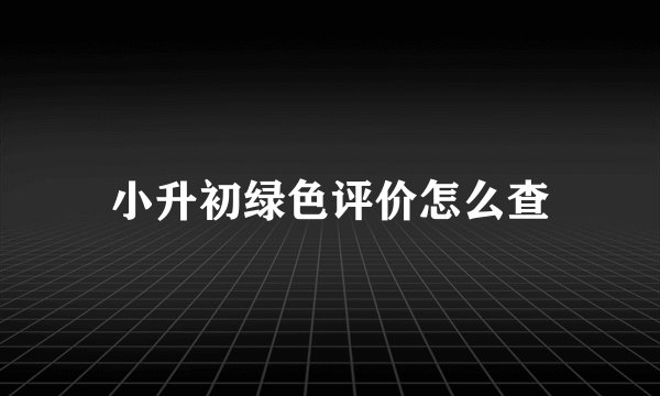小升初绿色评价怎么查