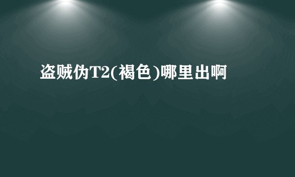 盗贼伪T2(褐色)哪里出啊