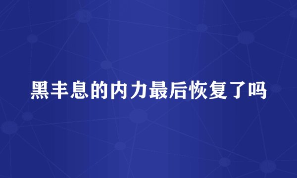黑丰息的内力最后恢复了吗