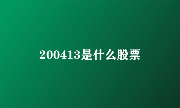 200413是什么股票
