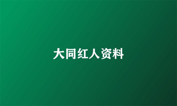 大同红人资料