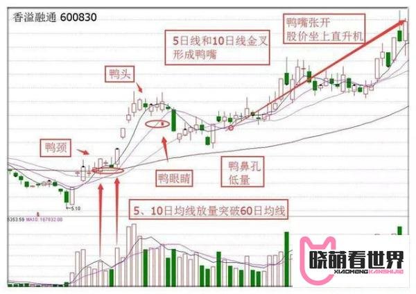 千金难买老鸭头——“鸭颈买，鸭头减仓，鸭嘴加仓”这才是老鸭头战法的真正精髓！