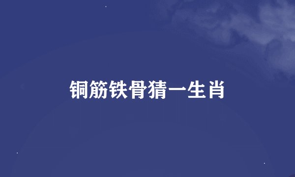 铜筋铁骨猜一生肖