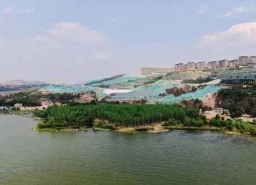 云南滇池南岸别墅密布成水泥森林，这对当地的环境有什么影响？