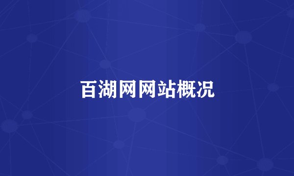 百湖网网站概况