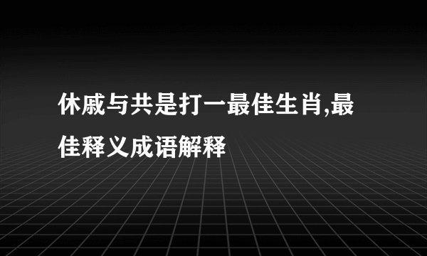 休戚与共是打一最佳生肖,最佳释义成语解释