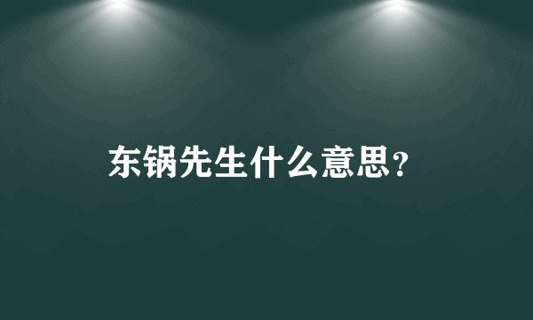 东锅先生什么意思？