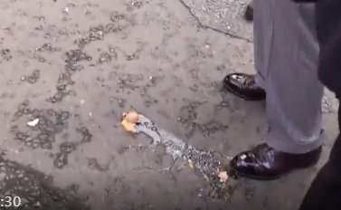 示威男子当街朝英国国王扔鸡蛋,最终这名男子得到了什么处罚?