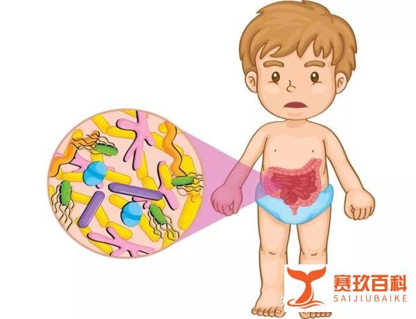 【蓓宁唤醒益生菌（添加养肝配方）】粪毒入血，百病蜂起：被忽视的“肠道菌群失调”