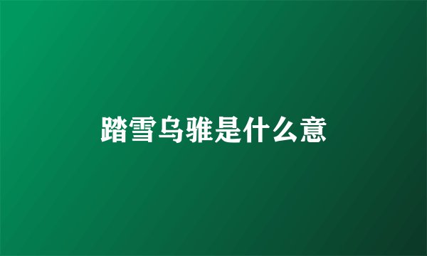 踏雪乌骓是什么意