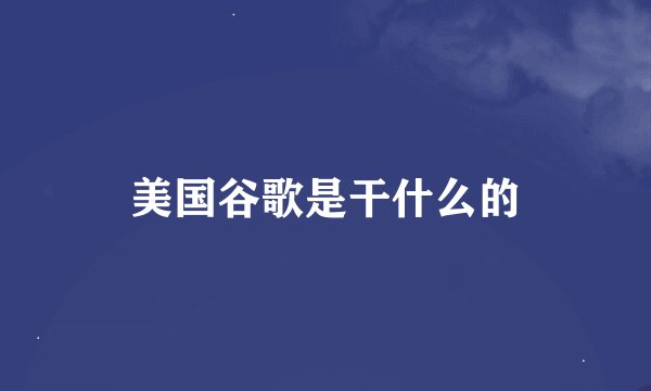 美国谷歌是干什么的