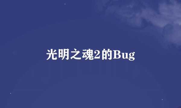光明之魂2的Bug