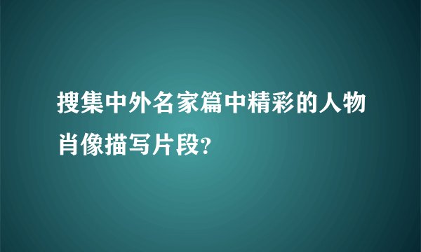 搜集中外名家篇中精彩的人物肖像描写片段？