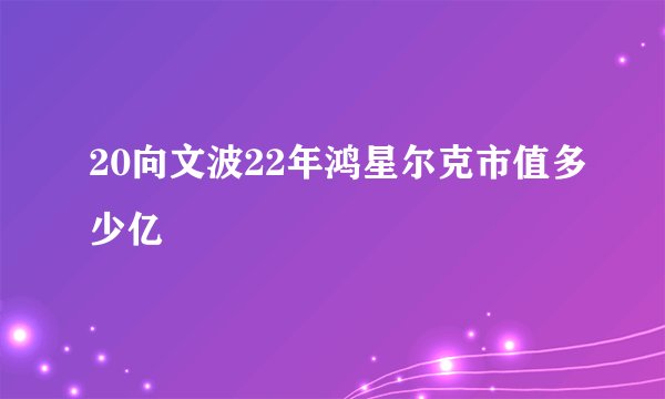 20向文波22年鸿星尔克市值多少亿