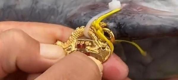 3人花394万买8000条鱼开赌场获刑！