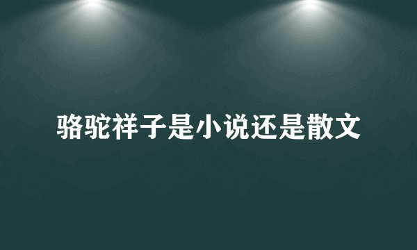 骆驼祥子是小说还是散文
