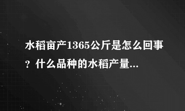 水稻亩产1365公斤是怎么回事？什么品种的水稻产量这么高？