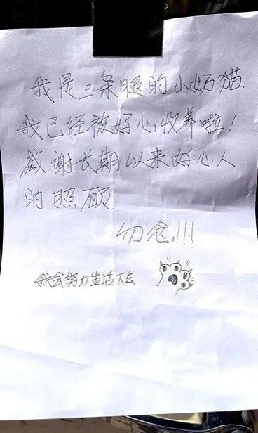 北京一男子投喂三腿猫半月发现收养纸条,男子看到纸条时作何反应