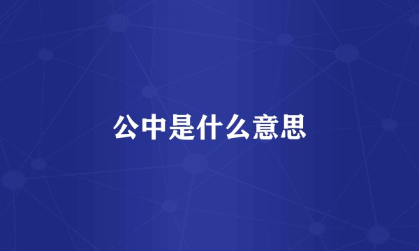 公中是什么意思