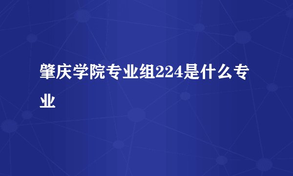 肇庆学院专业组224是什么专业