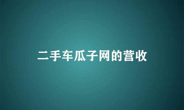 二手车瓜子网的营收