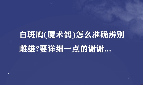 白斑鸠(魔术鸽)怎么准确辨别雌雄?要详细一点的谢谢拉!母斑鸠会点头哈腰...