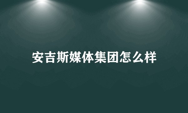 安吉斯媒体集团怎么样