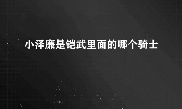 小泽廉是铠武里面的哪个骑士