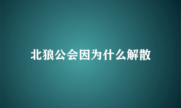 北狼公会因为什么解散