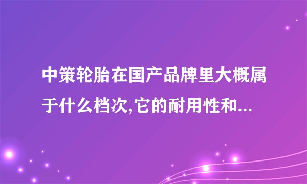 中策轮胎在国产品牌里大概属于什么档次,它的耐用性和性价比怎么样,适合经常跑