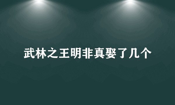 武林之王明非真娶了几个