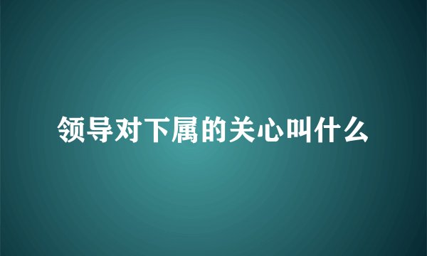 领导对下属的关心叫什么