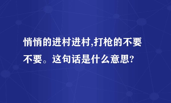 悄悄的进村进村,打枪的不要不要。这句话是什么意思?