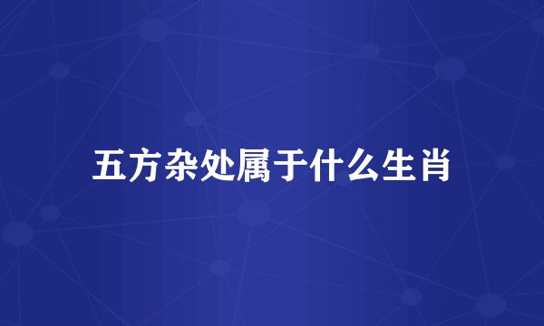 五方杂处属于什么生肖