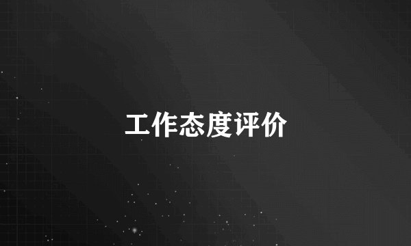 工作态度评价