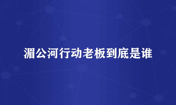 湄公河行动老板到底是谁