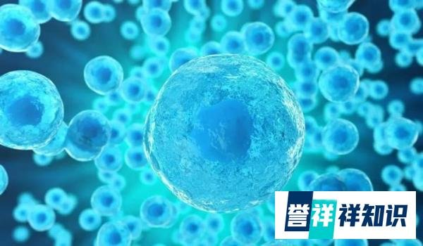 8000万单位的干细胞治疗糖尿病打3次多少钱?达到什么效果,是否值得应用?